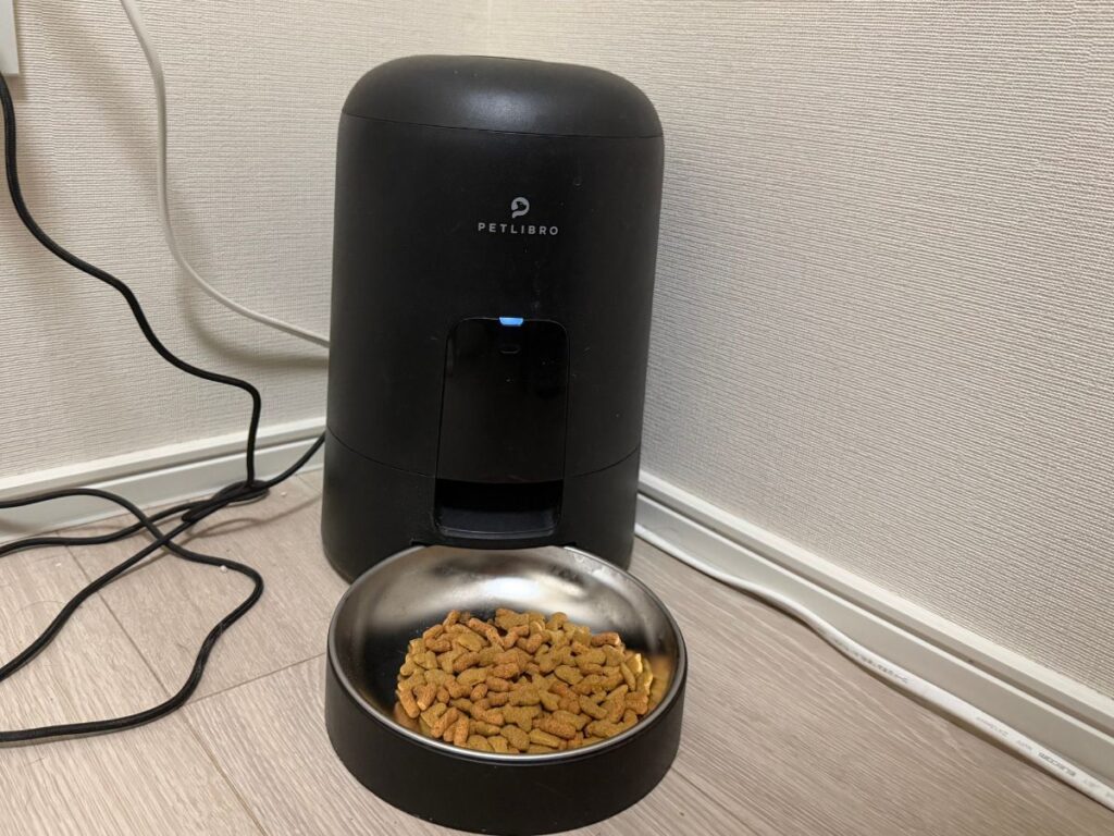 一人暮らしで使用している猫用自動餌やり機
