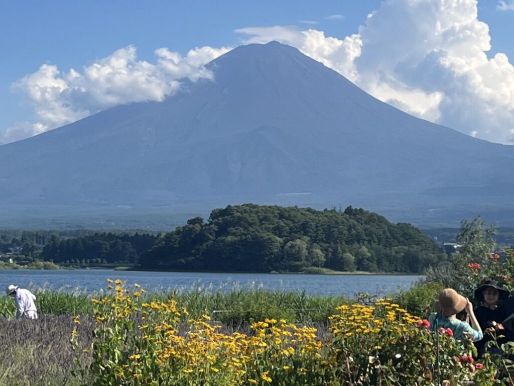 夏の河口湖から見た富士山