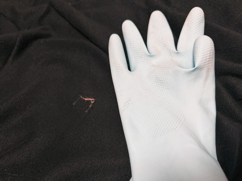 ゴム手袋で猫の毛を取っている様子