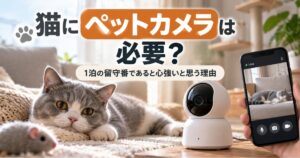 猫にペットカメラは必要か1泊の留守番で使うメリットを解説